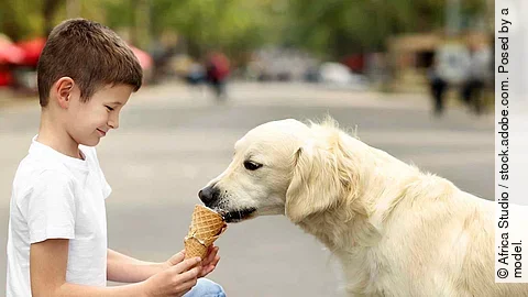 Small boy feeding ice-cream cute dog on street