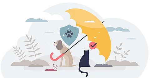 Grafik von einem braunen Hund und einer Katze mit schwarzem Fell. Beide Tiere sitzen unter einem gelben Regenschirm. Über dem Hund leuchtet ein blaues Schutzsymbol mit einer Pfote. Im Hintergrund sind Wolken und einzelne Pflanzensträucher.