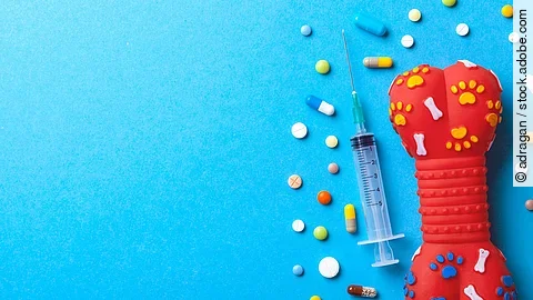 Bunte Tabletten, Spritze und Spielzeugknochen