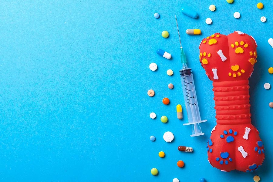 Bunte Tabletten, Spritze und Spielzeugknochen Bunte Tabletten, Spritze und Spielzeugknochen