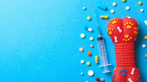 Bunte Tabletten, Spritze und Spielzeugknochen