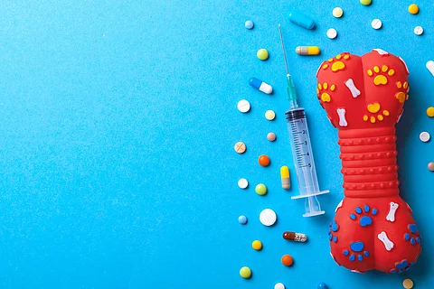 Bunte Tabletten, Spritze und Spielzeugknochen