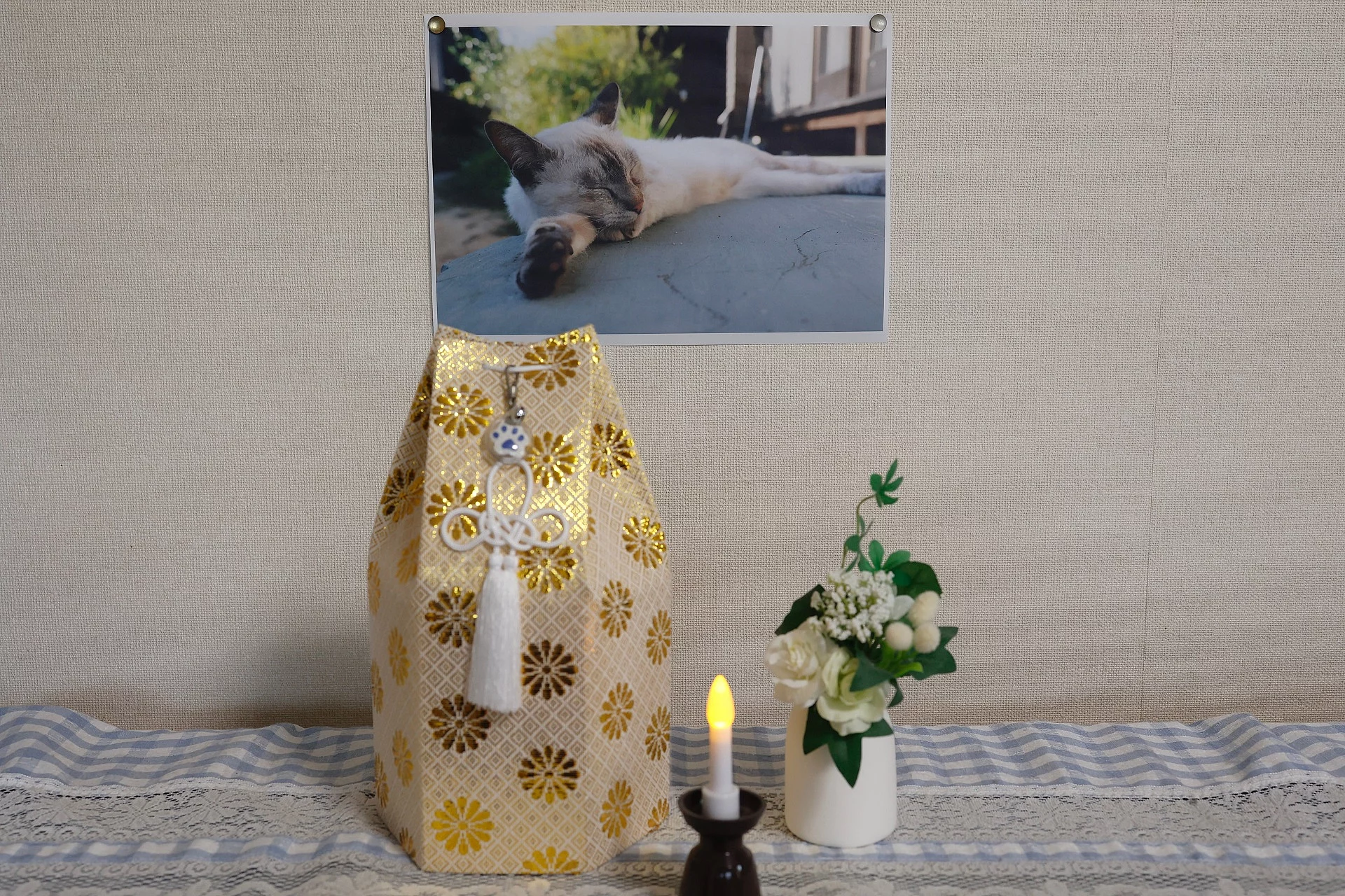 Eine Kerze, eine Blume und eine Urne stehen auf einem Tisch. AN der Wand dahinter hängt ein Katzenbild.