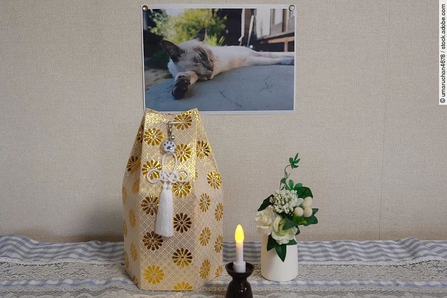 Eine Kerze, eine Blume und eine Urne stehen auf einem Tisch. AN der Wand dahinter hängt ein Katzenbild.