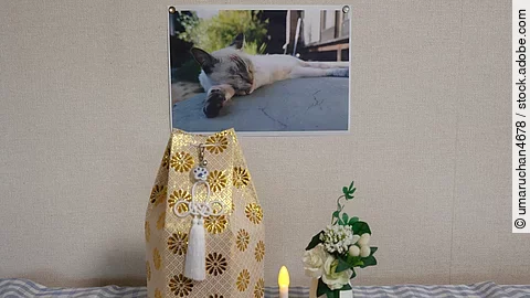 Eine Kerze, eine Blume und eine Urne stehen auf einem Tisch. AN der Wand dahinter hängt ein Katzenbild.