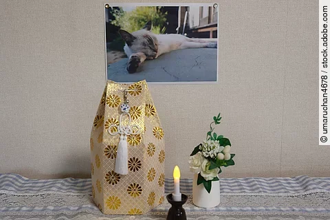 Eine Kerze, eine Blume und eine Urne stehen auf einem Tisch. AN der Wand dahinter hängt ein Katzenbild.