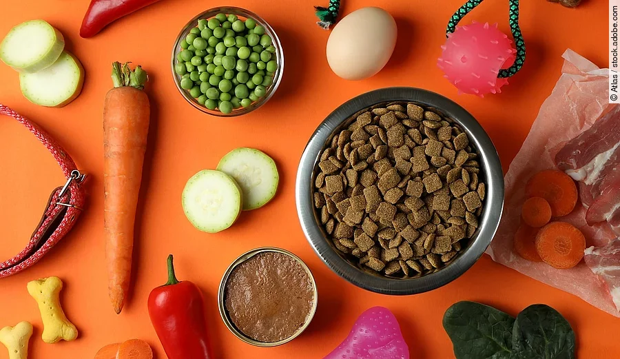 Verschiedene Futtermittel vor einem orangenen Hintergrund.