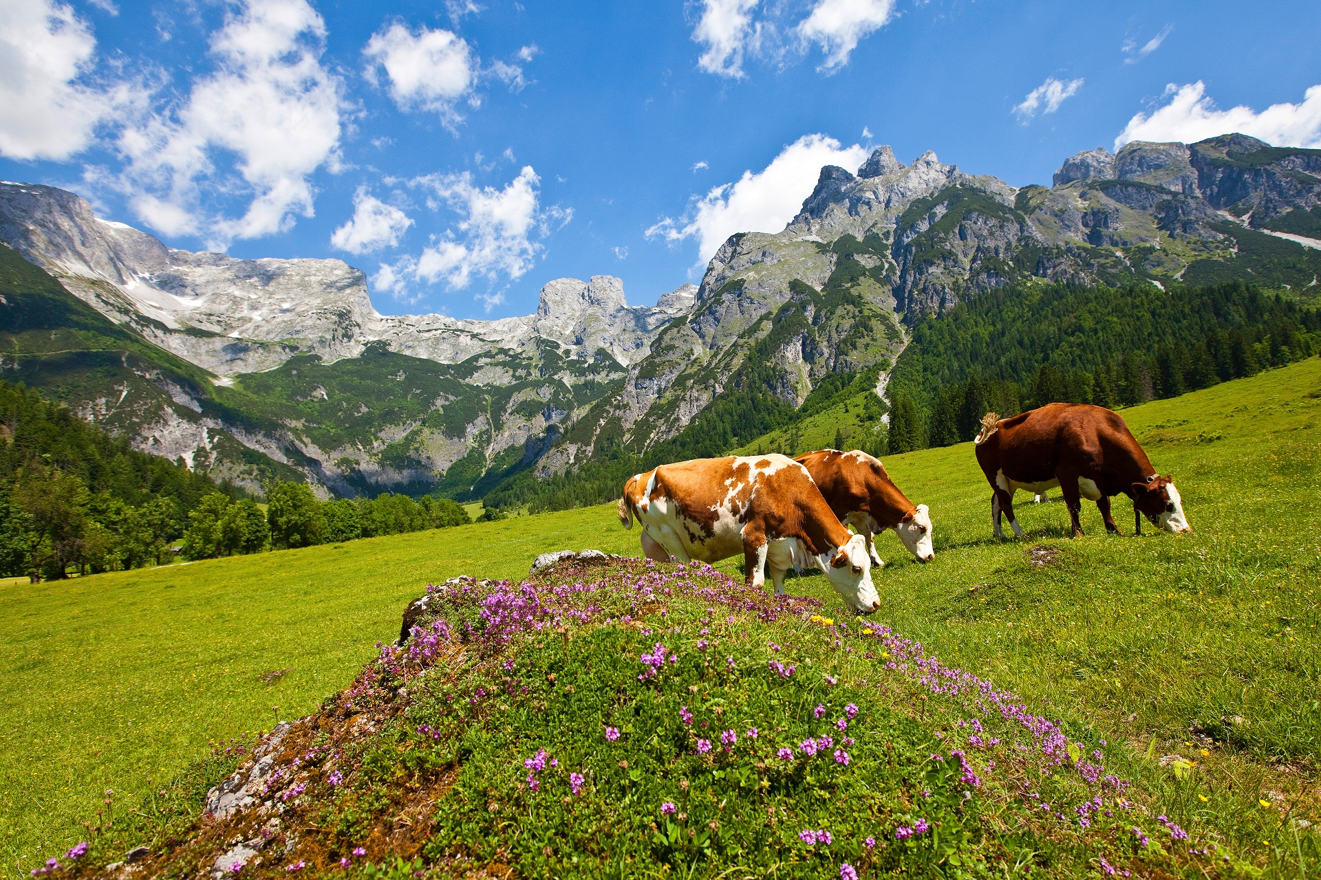Eiskogel im Tennengebirge