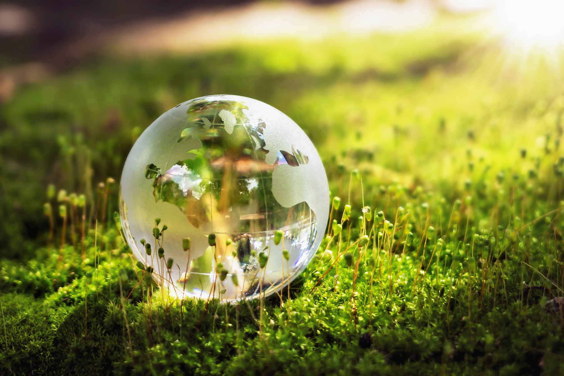 globe glass on grass with sunshine. environment concept