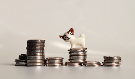 The pile of coins and a miniature dog.