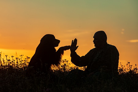 silhouette of a man and a dog, he slapped the owner's hand with 