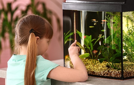 Cute little girl looking at fish in aquarium