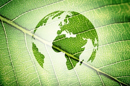 Silhouette of Earth on green leaf texture background.