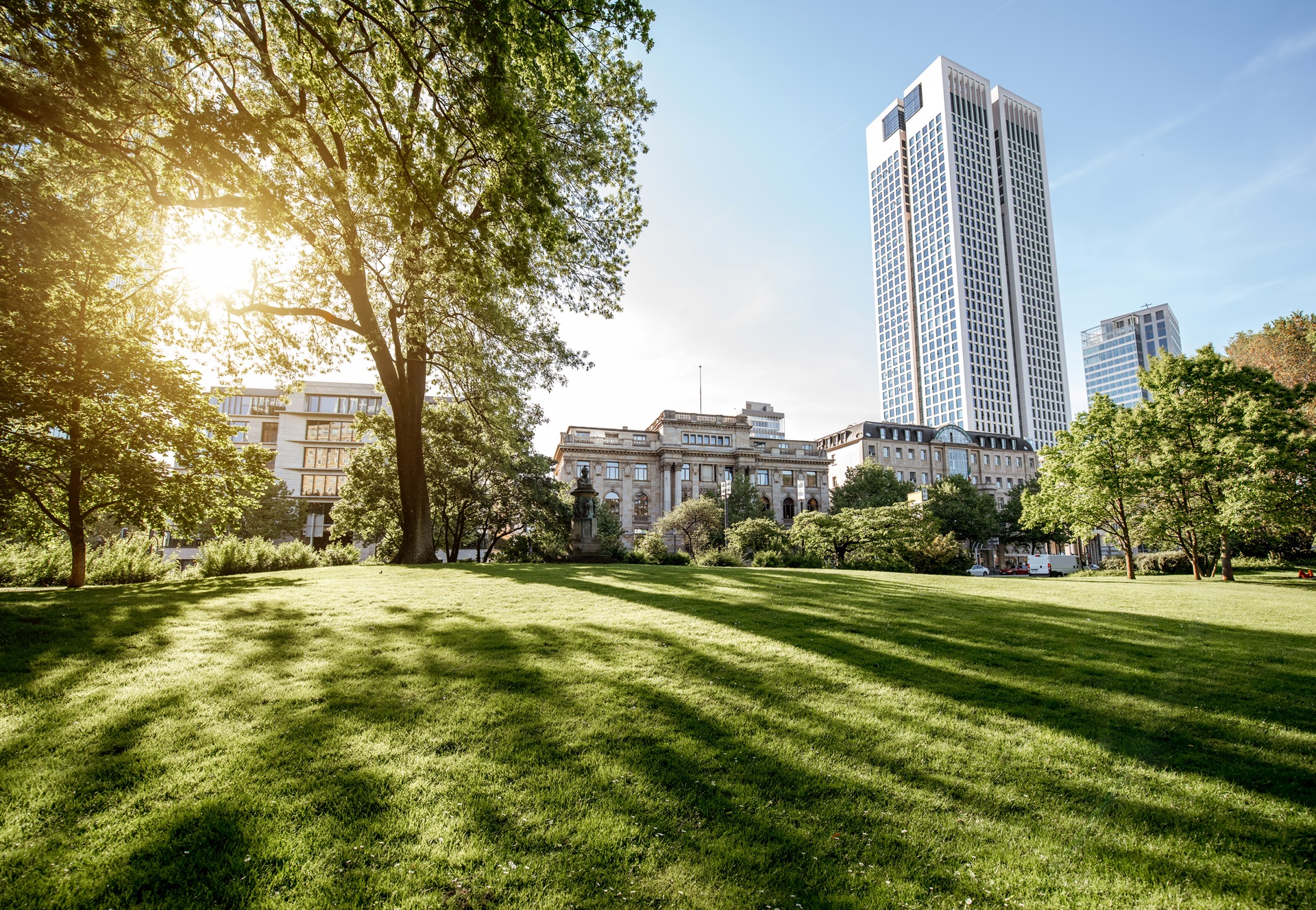 Blick auf einen grünen Park in Frankfurt. Die Sonne strahlt durch die Bäume hindurch auf den Rasen und wirft Schatten. Im Hinderung sind die Gebäude der Stadt zu erkennen. Ein Wolkenkratzer ragt in den blauen Himmel.  