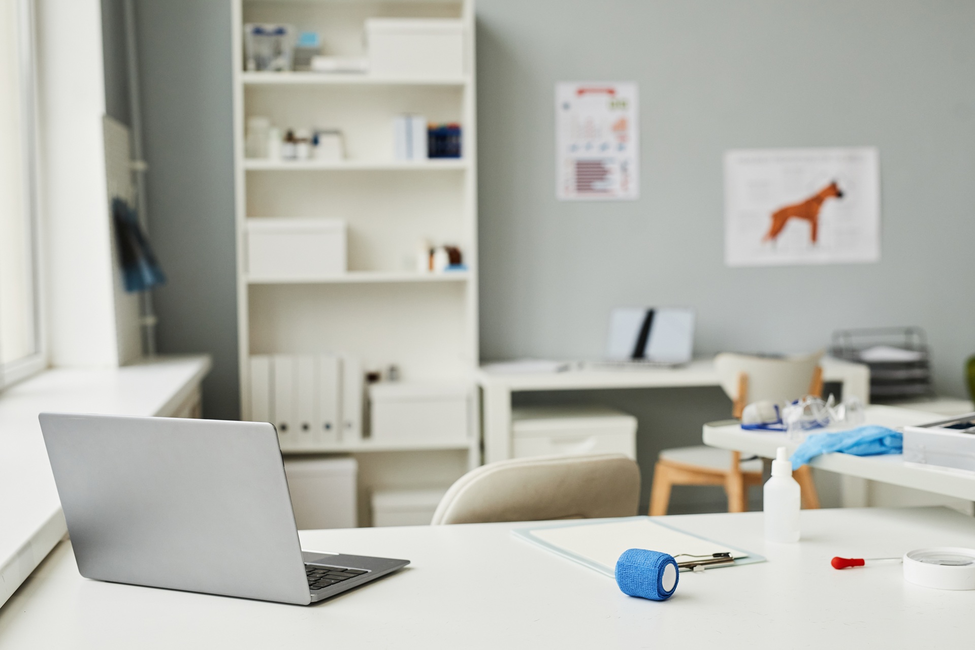 Arbeitsplatz in einer Tierarztpraxis. Im Vordergrund des Bildes steht ein weißer Schreibtisch. Auf dem Tisch ist ein geöffneter Laptop abgestellt und weitere Utensilien - wie eine Bandage und ein Klemmbrett - liegen auf dem Tisch. Im Hintergrund steht eine Bücherregal und medizinische Plakate hängen an der Wand.