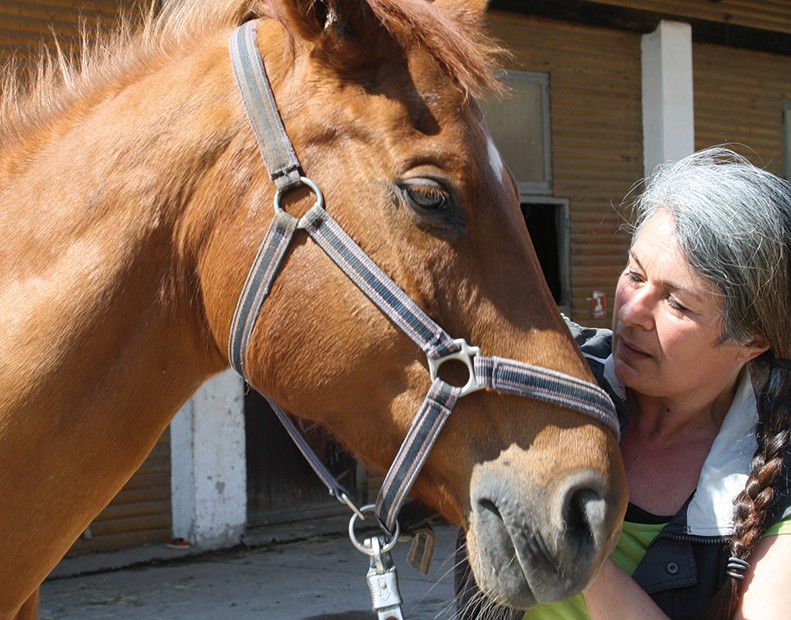 Frau Eul-Matern steht neben einem Pferd. Das Pferd trägt ein Halfter und hat die Augen geschlossen. Sein Fell ist fuchsfarben. 