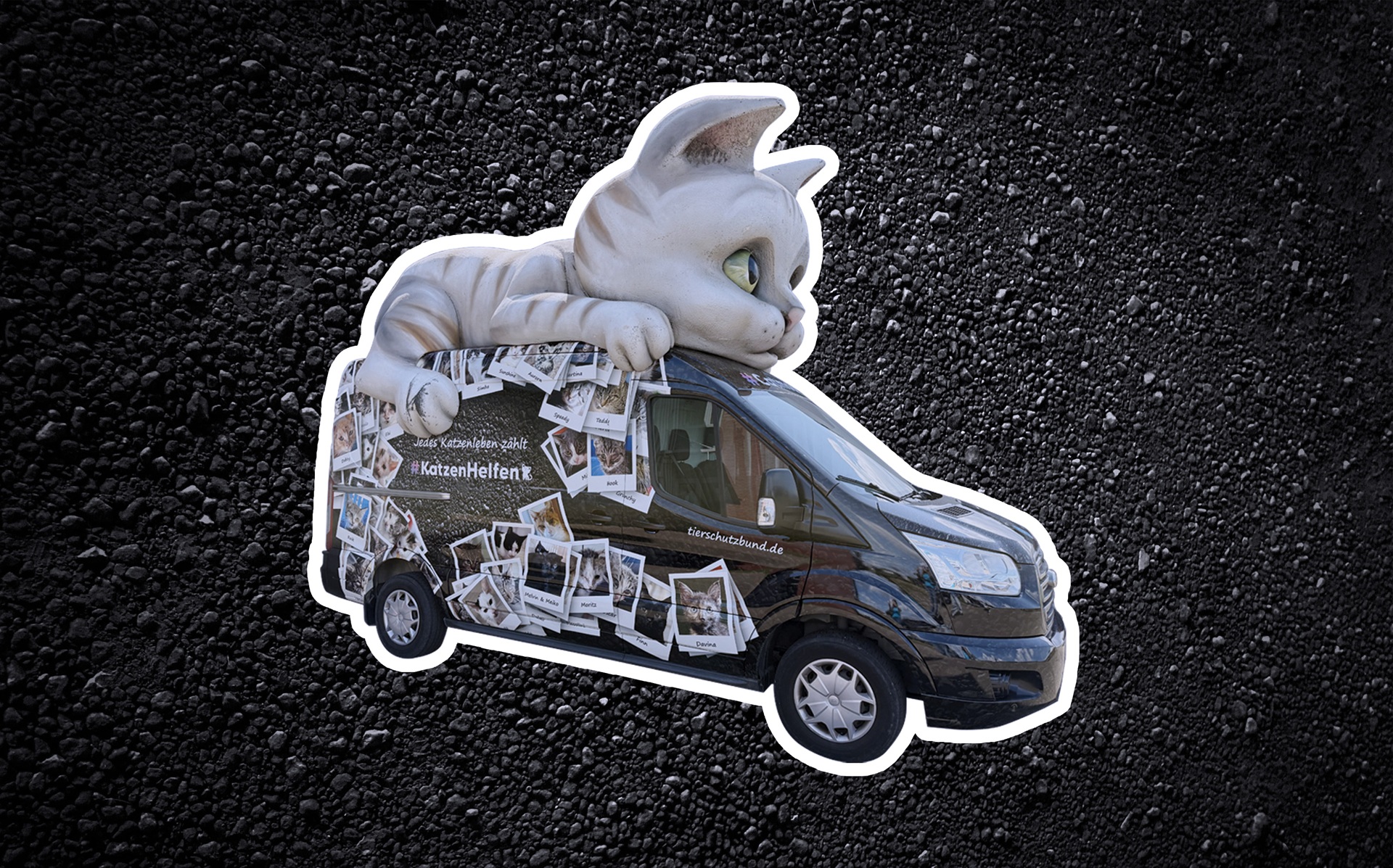 Das Catmobil ist vor einem schwarzen Hintergrund abgebildet. Auf dem Fahrzeug liegt eine große Katze und auf Auto sind Bilder von Katzen in Polaroidoptik abgebildet. 