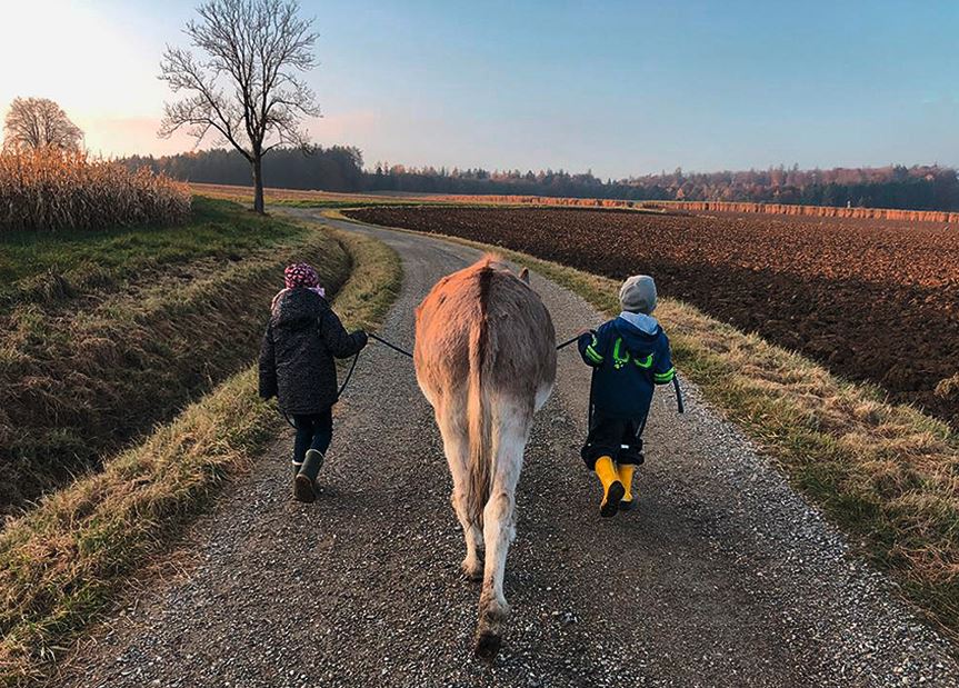 Zwei Kinder gehen gemeinsam mit einem Esel spazieren. Dabei läuft der Esel brav in der Mitte.