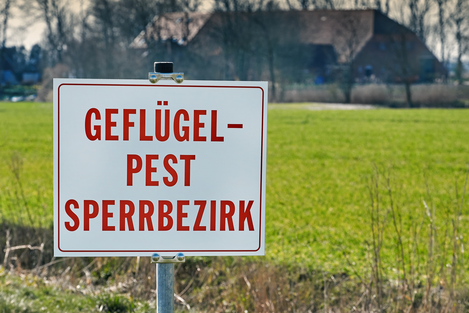 Bild von einem Warnschild. In roter Schrift steht auf dem weißen Schild: "GEFLÜGELPEST SPERRBERZIRK". IM Hintergrund ist ein Feld und ein landwirtschaftlicher Hof hinter Bäumen erkennbar. 