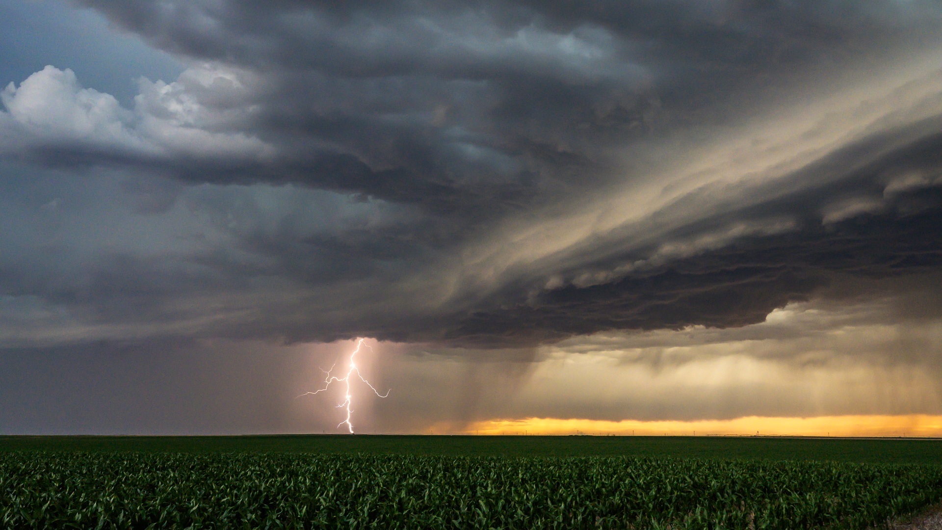 Ein Gewitter ist über einem Feld in den Great Plains. Ein Blitz zieht von den Wolken Richtung Erde. Die Wolken sind dunkel. In weiter Ferne ist der Himmel wird heller in einem gelblichen Ton. 