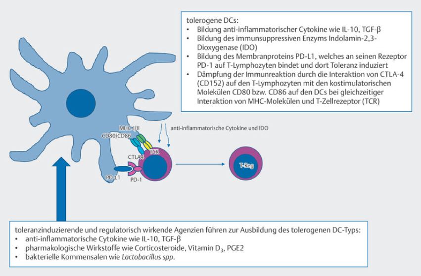 Mechanismen zur Toleranzinduktion