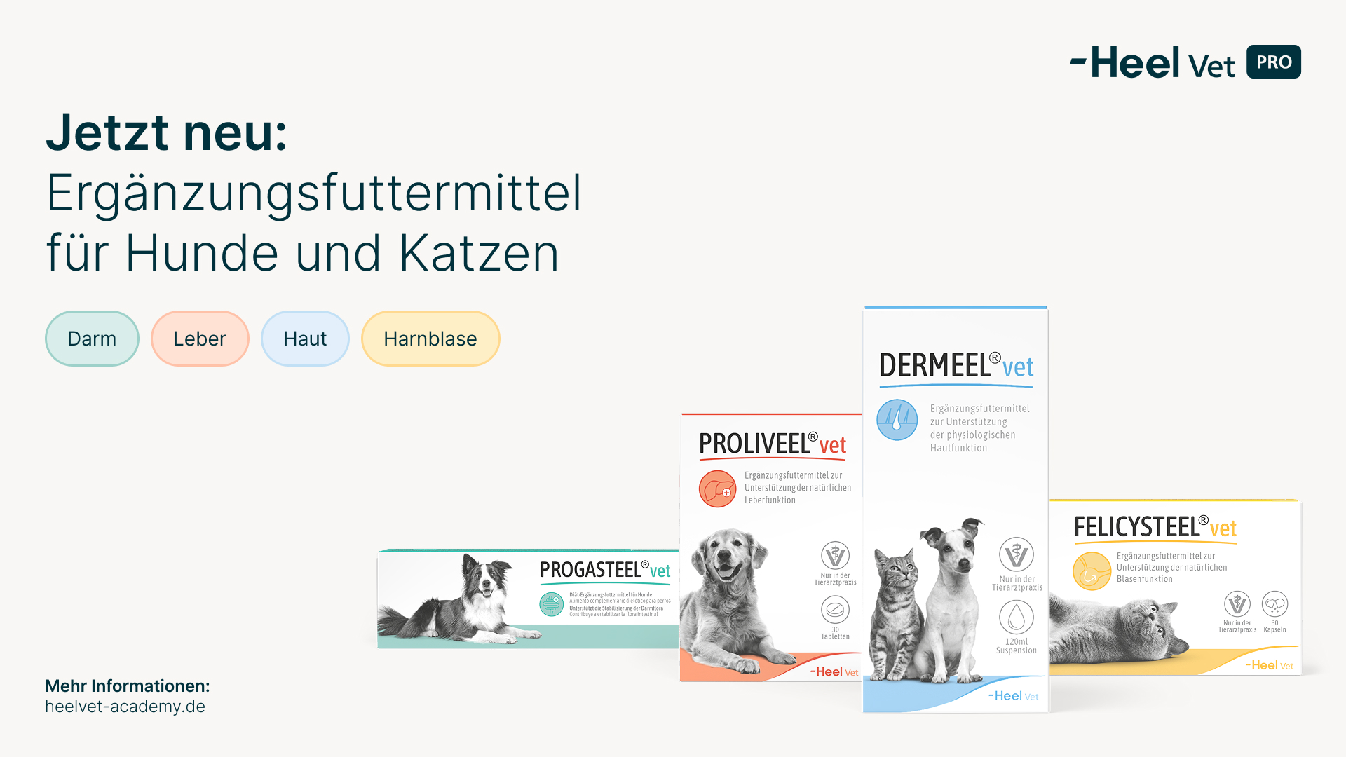 Vor einem weißen Hintergrund sind vier OVP von Heel-Produkten abgebildet. Bei den Produkten handelt es sich um Proliveel® vet, Progasteel® vet, Dermeel® vet und Felicysteel® vet. Oben links steht in blauer Schrift: "Jetzt neu: Ergänzungsfuttermittel für Hunde und Katzen". In der rechten Ecke ist das Logo von Heel Vet Pro.