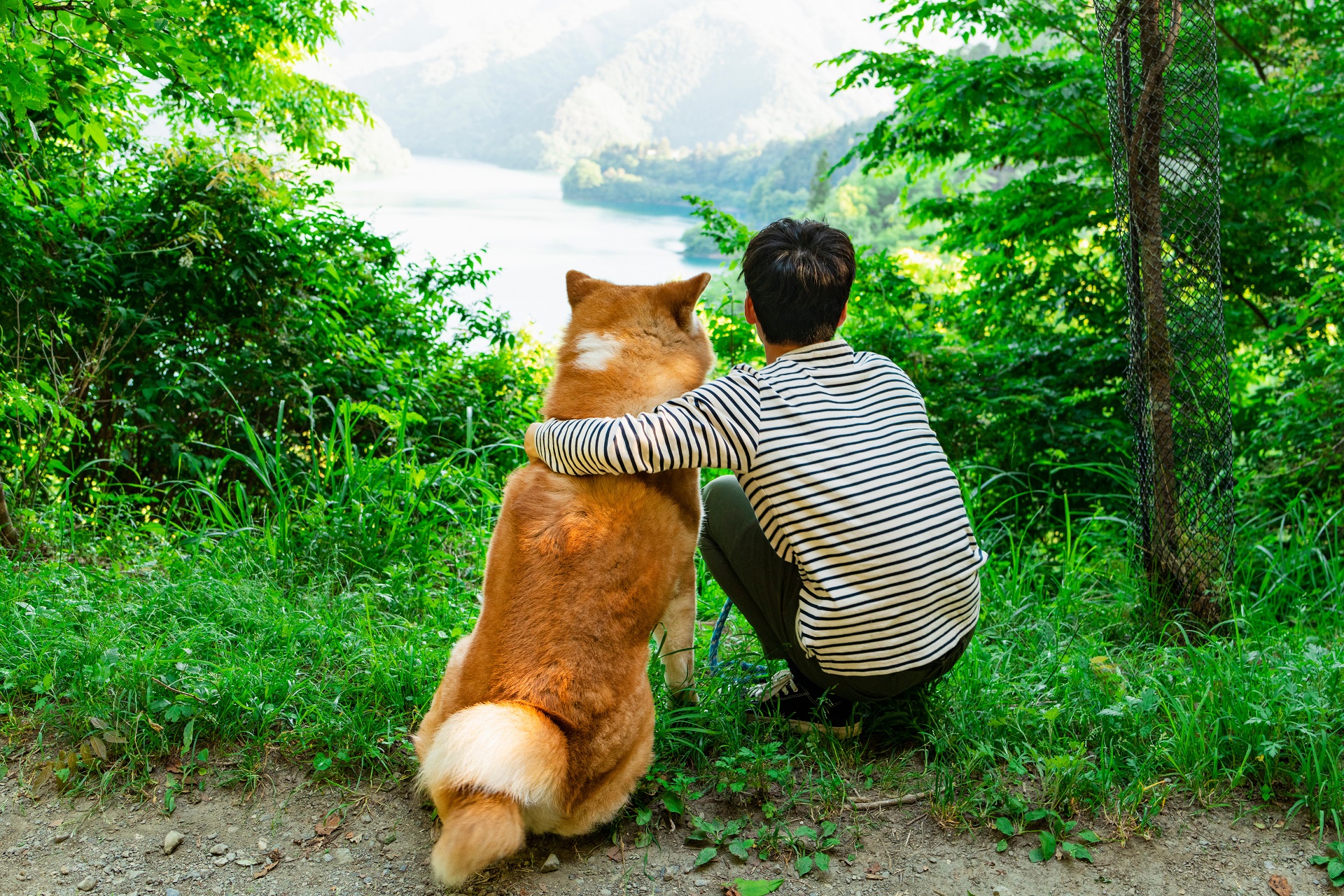 Ein Junge und ein Hund sitzen an einer Lichtung im Wald. 