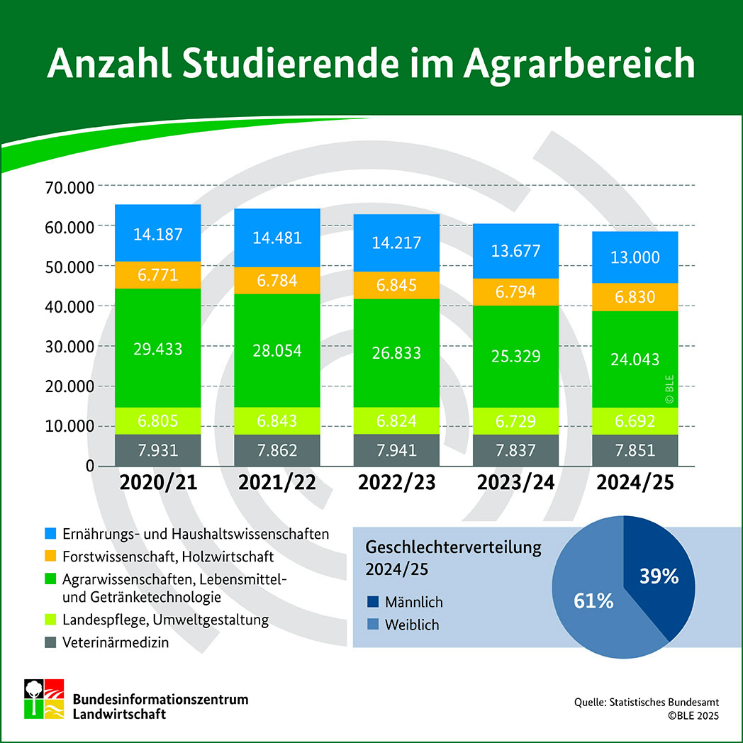 Infografik_Studierendenzahlen_2025_Presse