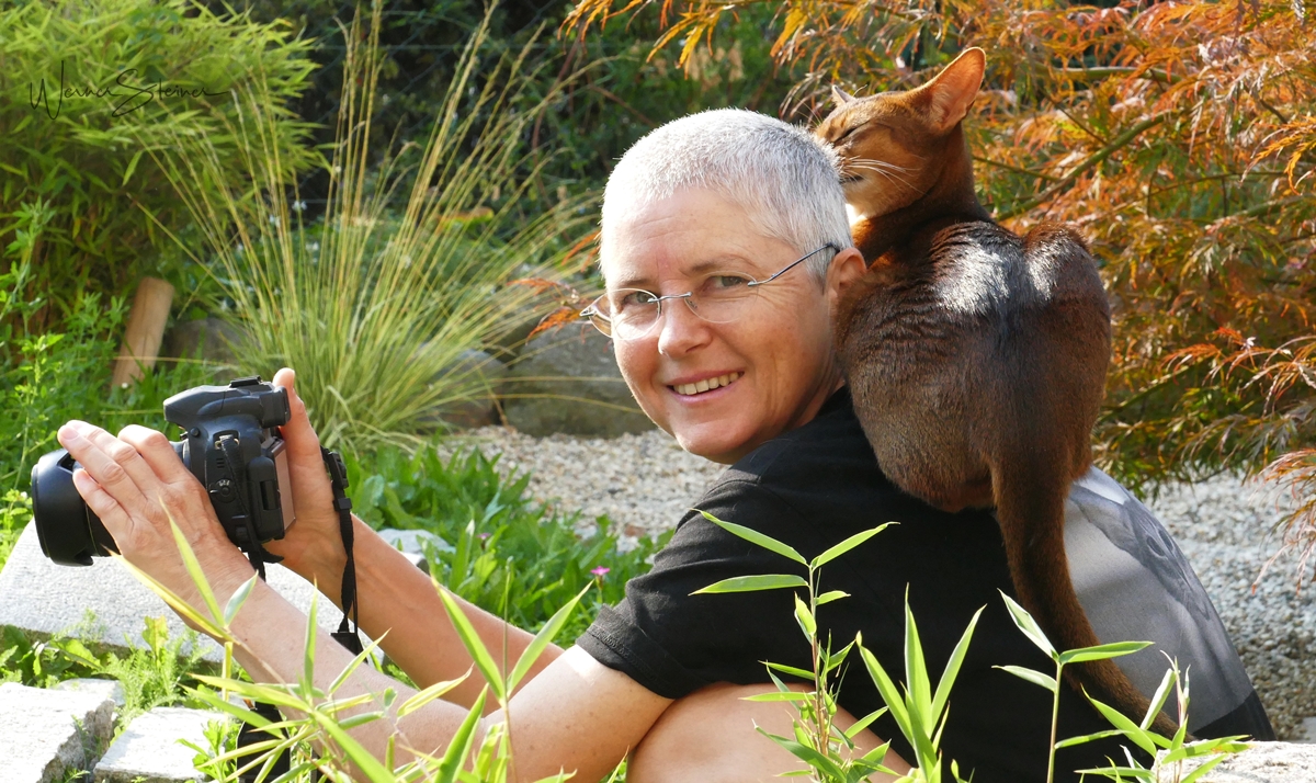 Sabine Schroll sitzt mit einer Kamera in der Hand und einer Katze auf der Schulter in der Natur.