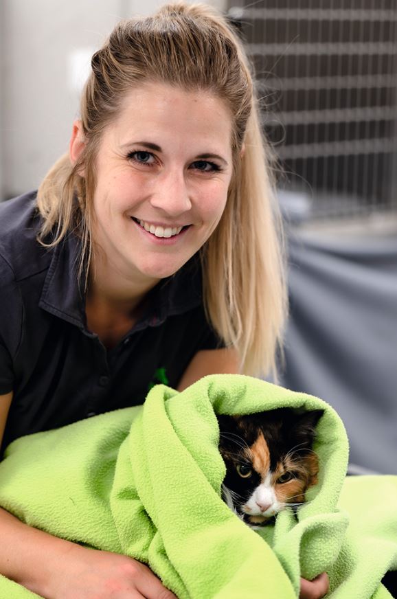 Julia Rügamer hält eine in einer grünen Decke eingewickelten Katze fest. Julia Rügamer hält eine in einer grünen Decke eingewickelten Katze fest.