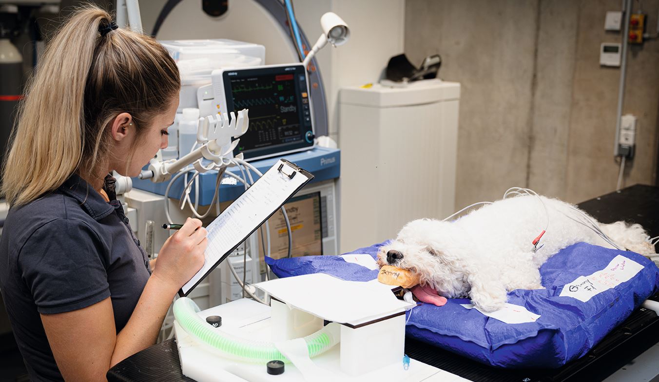 Julia bei der Anästhesie-Überwachung und Aufnahme der Vitalparameter bei einem Patienten mit Hirntumor. 