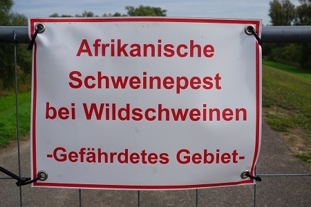 Warnschild Afrikanische Schweinepest bei Wildschweinen - gefÃ€hr