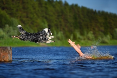 The girl and dog jump together to the water
