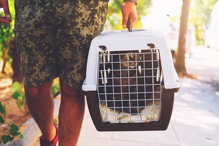 Man with domestic cat in a pet carrier traveling on the street