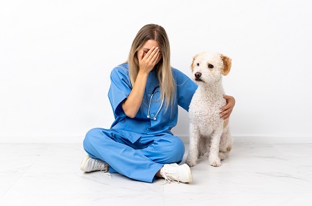 Young veterinarian woman with dog sitting on the floor with tire