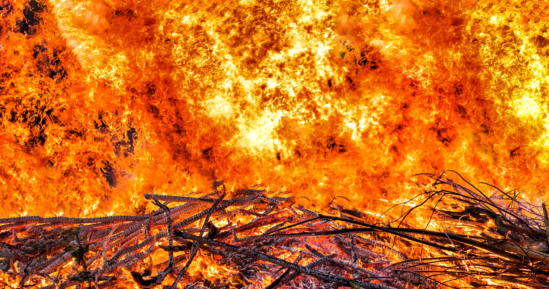 Holz, das in Brand steht.