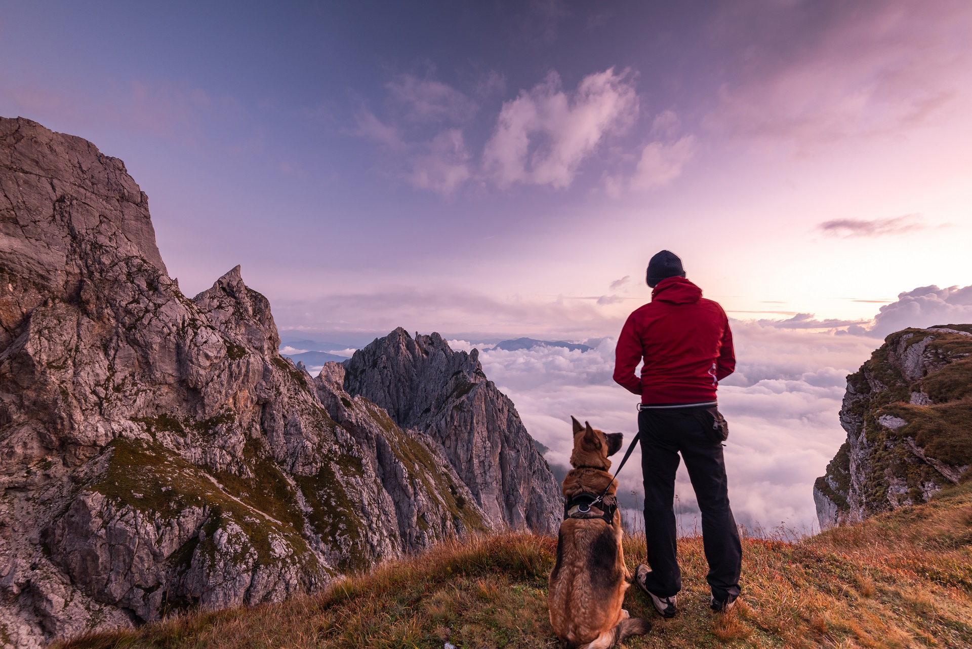 Ein Mann steht mit seinem Schäferhund zusammen auf einem Berggipfel und genießt die Aussicht. Der Himmel leuchtet in allen Rosatönen, da gerade die Sonne aufgeht.